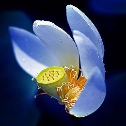 《战地6》大逃杀模式地图曝光 毒圈有史以来最致命